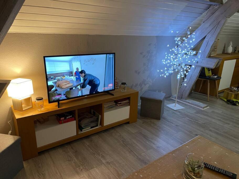 Corcieux Loft Avec Jardin 아파트 외부 사진