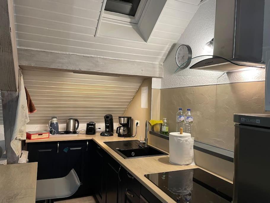 Corcieux Loft Avec Jardin 아파트 외부 사진